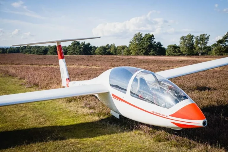 DG500